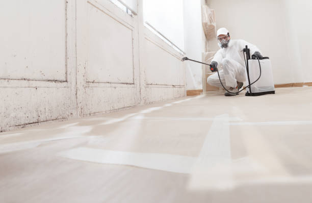 24/7 Emergency Mold Remediation experts in Columbus, MN