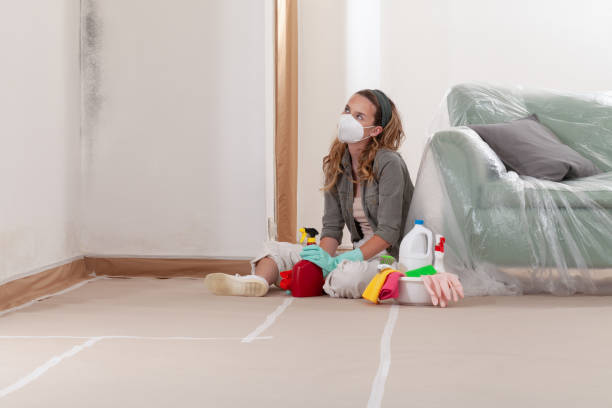Reliable Mold Remediation contractor in Columbus, MN by Car Mold Remediation